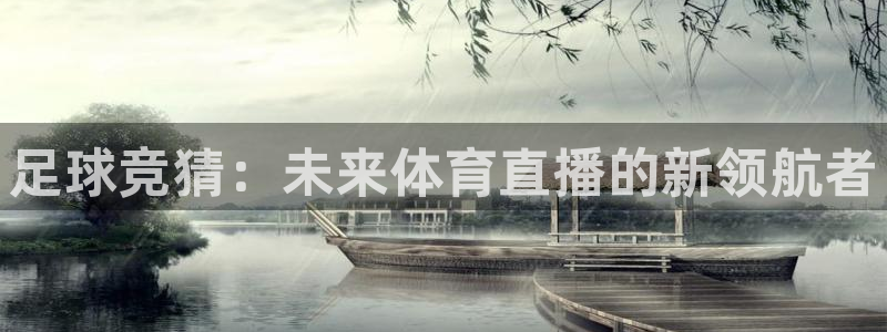 足球竞猜：未来体育直播的新领航者