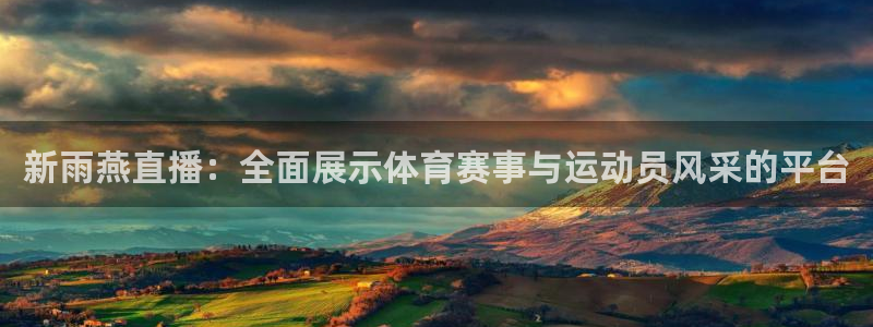 新雨燕直播：全面展示体育赛事与运动员风采的平台